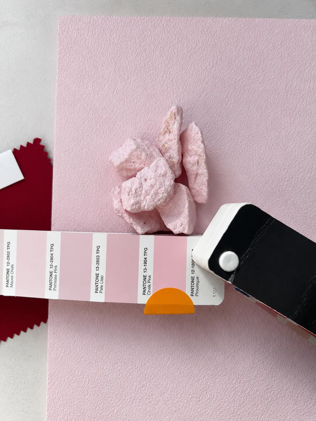 CAROLINA HERRERA — Pantone against tepetate: how the pink was chosen