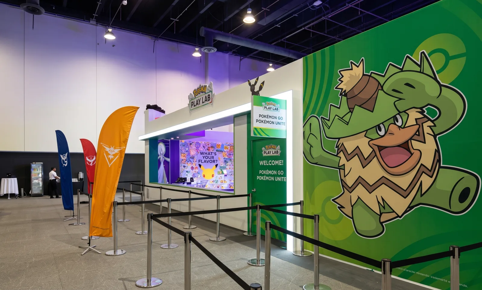 POKEMON PLAY LAB — The green corner wall, with the team flags and the entry line