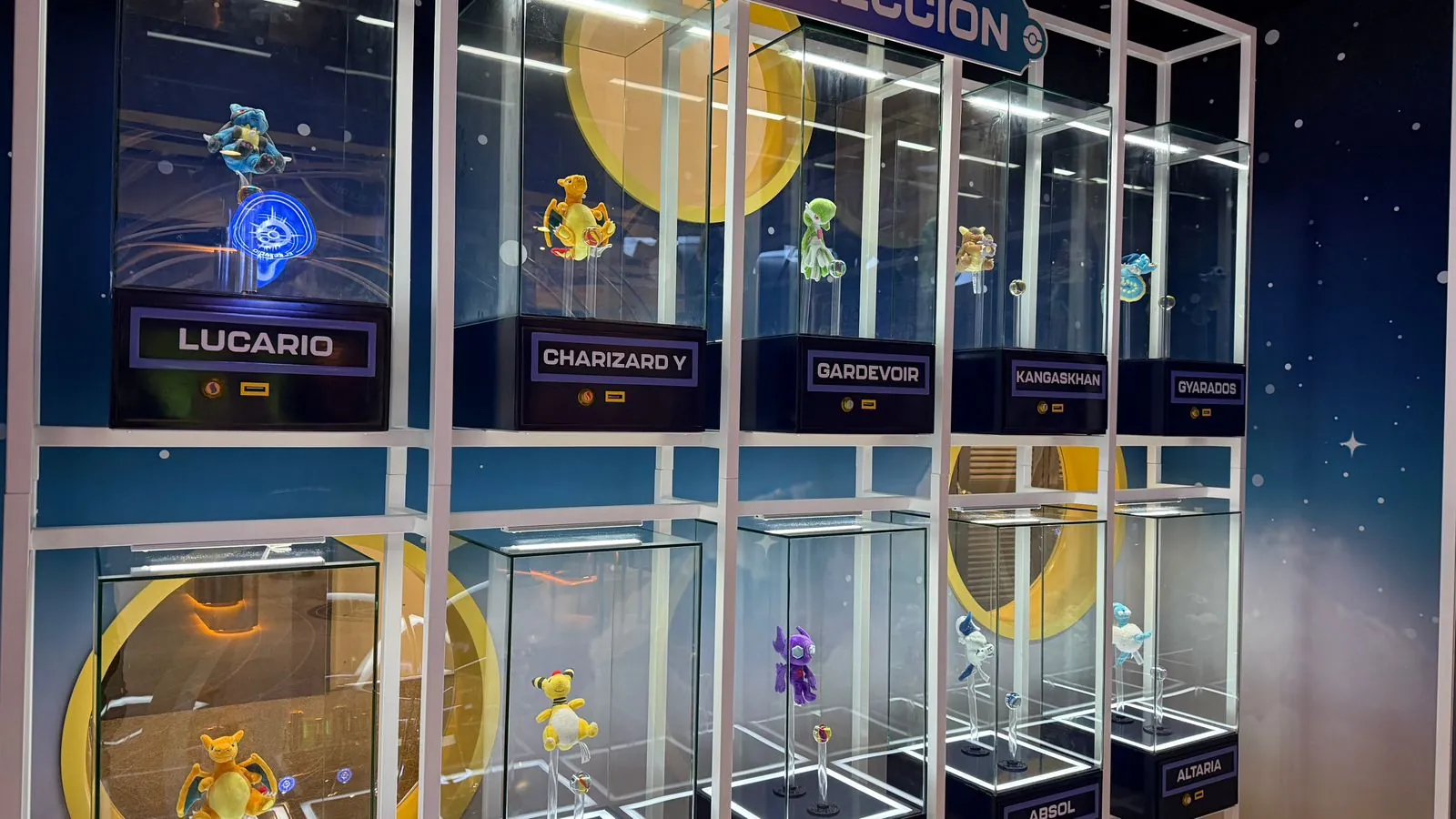 POKEMON — The Collection display cases: Lucario, Charizard Y, Gardevoir, Kangaskhan…